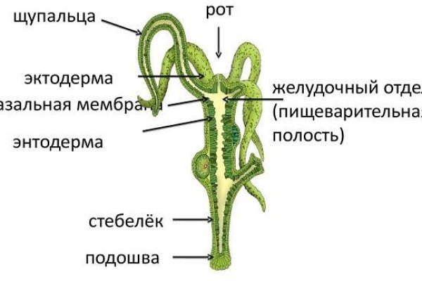 Восстановить аккаунт на кракене