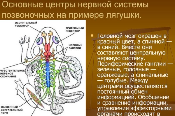 Как зайти на кракен